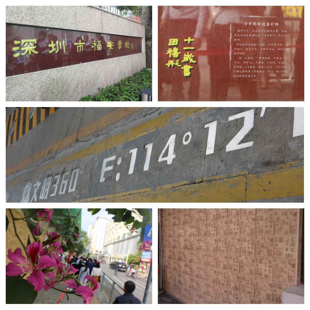 1547085736244192da34af371544722cc8b83d2ea1d61.png 图片4.png