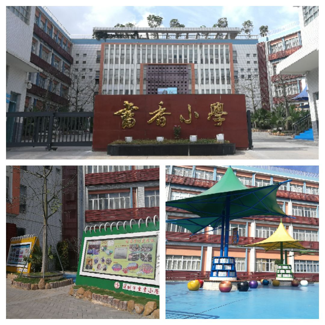 15470857799472da7f89e64284f8c95aff50ae183e2e4.png 图片7.png