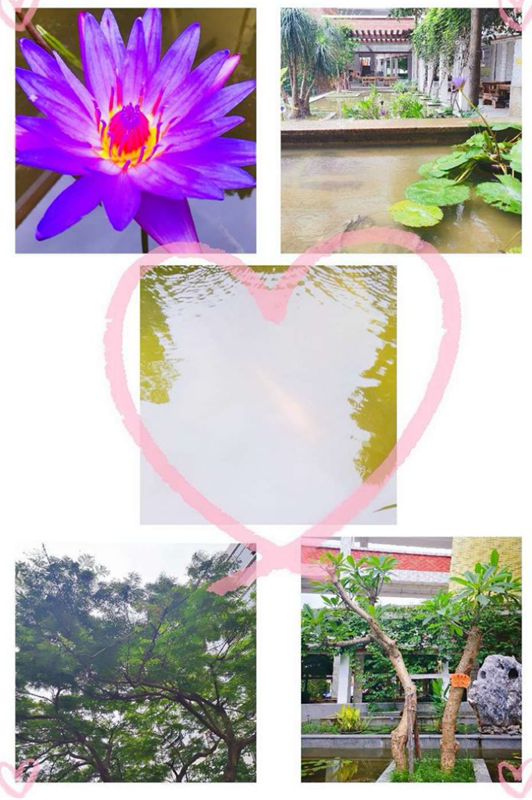 图片8_副本.png